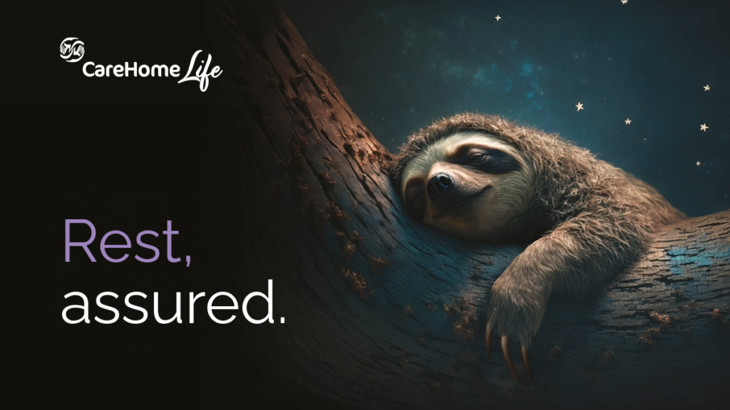 Image of a sleeping sloth laid on a branch, with a night sky and stars in the background. Text overlay to the left with the CareHomeLife logo and the copy "Rest, assured".
